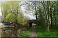 Botany Bat Bridge no. 14, Caldon Canal