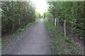 SP8863 : Path in Summer Leys nature reserve by Philip Jeffrey