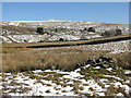 Rough pastures between Low Moss and Birch Hill