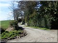 Private road leading West from the Manse Road, Seaforde