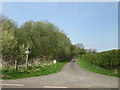 Lane to Sandhill Farm