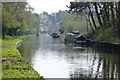 Narrowboats moored along the Shropshire Union Canal