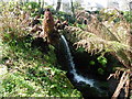 Waterfall in the grounds of Tregenna Castle Hotel