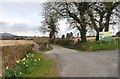 Entrance lane to Ashtree Farm, Drumnaquoile