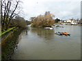 View from Richmond Bridge