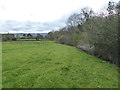 Pasture above the stream