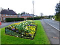 Floral display, Dublin Road, Omagh