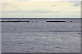 D2625 : Salmon Cages off the Antrim Coast by David Dixon