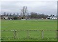 St Boswells Cricket Club