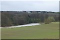 River Teviot