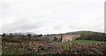 Drumlin farmland between School Road and Ballylough Road