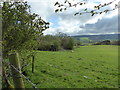 Field view near Llanerch