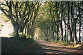 Road leading to Bridestowe Station