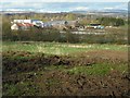 Rough grassland, Kilmardinny