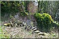 Old Steps at Valleyfield House Walled Garden