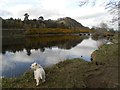 River Ness at Torvean