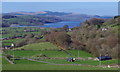 SH8729 : Pastoral scene overlooking Llyn Tegid by Andrew Hill