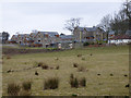 Houses at Burnside Farm