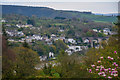 Cornwall : Calstock Scenery