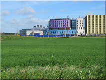 TL4654 : The Royal Papworth Hospital: cladding work by John Sutton