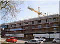 Haberfield House rising