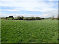 Drumlin landscape West of the Manse Road