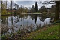 Weston Park: The Town Pool 2