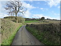 Rural lane near Bagbury farm