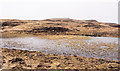 NM4635 : Lochan infilling with plants by Trevor Littlewood