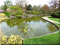 Eltham Cemetery: fish pond