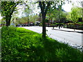 Green footpath at Oldfield Lane