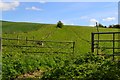 SU2381 : Field gate and footpath near Charlbury Hill by David Martin