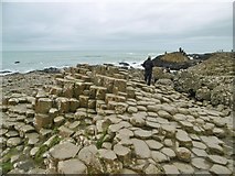 C9444 : Aird, Giant's Causeway 1) by Mike Faherty