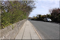 NS3421 : Holmston Road, Ayr by Billy McCrorie