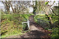 Footbridge on the River Ayr Walk