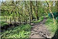 Footbridge crossing Duck Brook