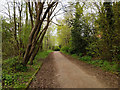 Foot and cycle path towards Earlswood