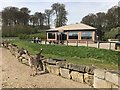 Watering Hole at Longleat