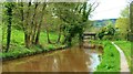 The towpath on the Monmouthshire and Brecon Canal, Talybont-on-Usk