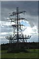 TG4902 : Electricity Pylon off Browston Lane by Geographer