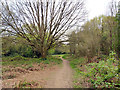 Path towards Earlswood Common