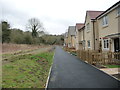 ST6954 : Houses fronting onto a path, Nelson Ward Drive, Radstock by Christine Johnstone