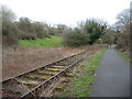 ST6954 : Track on the former Great Western Railway [Radstock Branch] by Christine Johnstone