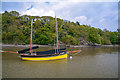 Cornwall : The River Tamar