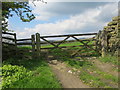 Footpath entering field through a gate from Scale Hill