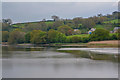 SX4165 : West Devon : The River Tamar by Lewis Clarke