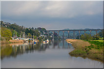 SX4268 : Cornwall : The River Tamar by Lewis Clarke