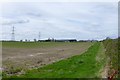 Looking across arable field