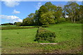 Footpath opposite Winacres Farm