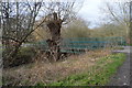 Footbridge, Hogsmill River